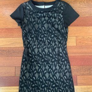 White House Black Market Lace Overlay Shift Dress